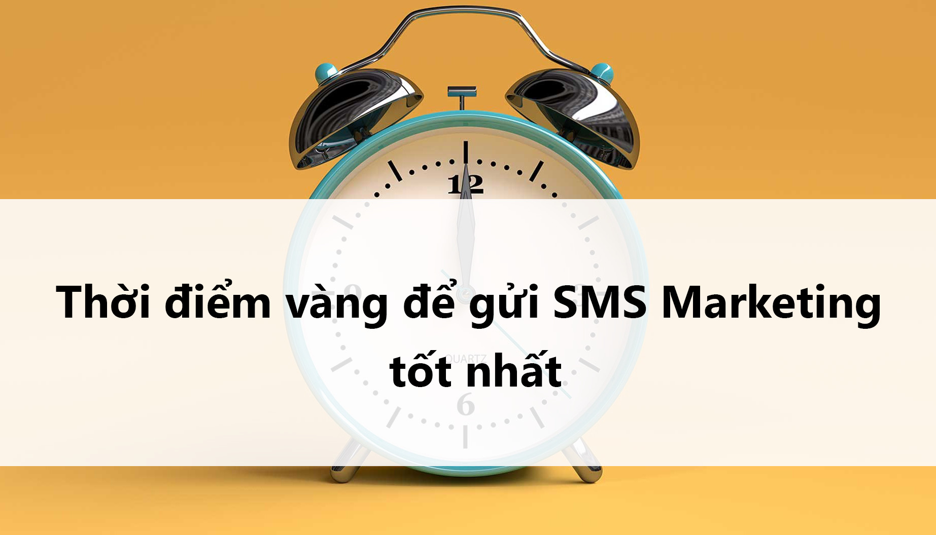 Khung giờ vàng gửi SMS Marketing hiệu quả 